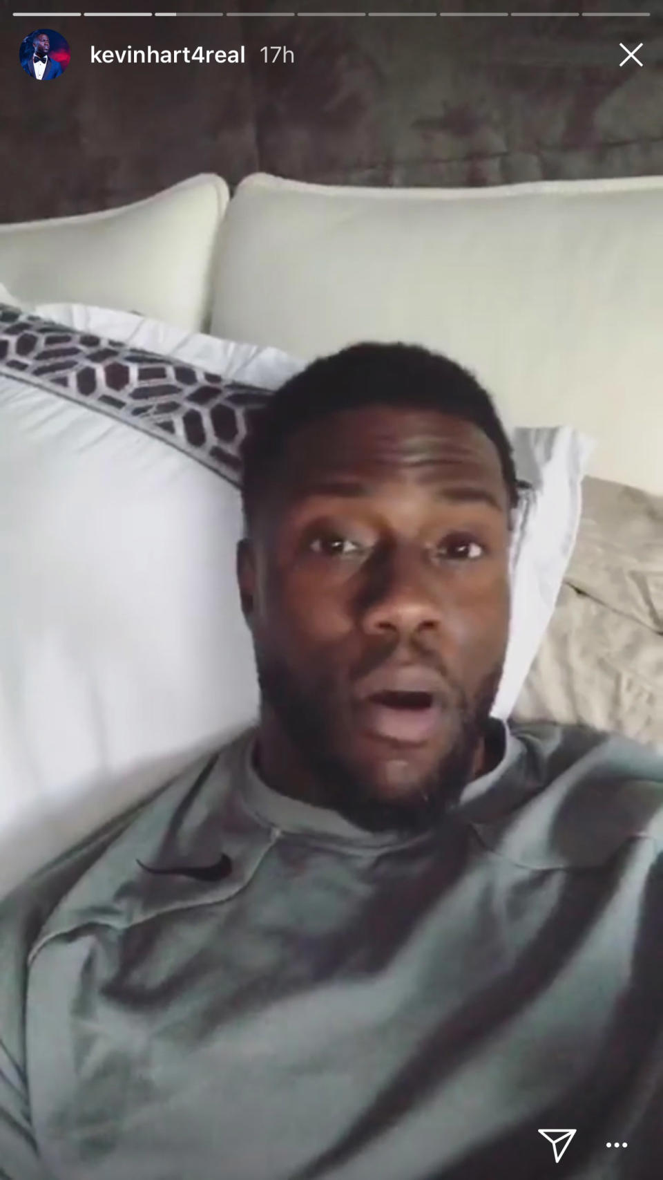 Kevin Hart Struggles When Wife Leaves Him Home with Kids and Dogs