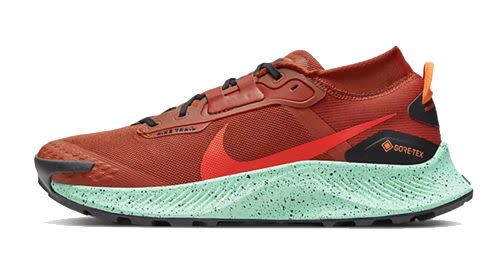 4) Nike Pegasus Trail 3 GORE-TEX