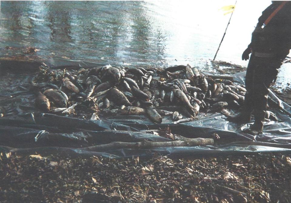 Dead fish piled up on the banks of the White River in December 1999. The Guide Corp. in Anderson, Ind., dumped toxic chemicals into the river, killing more than 4 million fish.