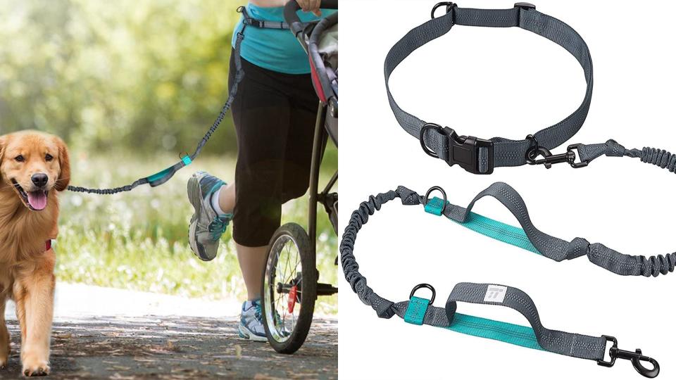 Best gifts for runners: Hands-free running leash