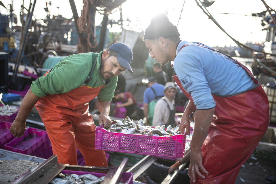 FILE - Fishermen transport their catch after docking in the main port in Dakhla city, Western Sahara, Monday, Dec. 21, 2020. A legal adviser to the European Union’s top court has recommended that it annul Europe's fishing agreement with Morocco, which would have allowed European boats to fish for valuable catch off the coast of the disputed Western Sahara. (AP Photo/Mosa'ab Elshamy, File)