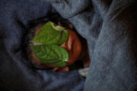 Betel leaves cover the face of 11-month-old Rohingya refugee Abdul Aziz whose wrapped body lay in his family shelter after he died battling high fever and severe cough at the Balukhali refugee camp near Cox's Bazar, Bangladesh, December 4, 2017. REUTERS/Damir Sagolj