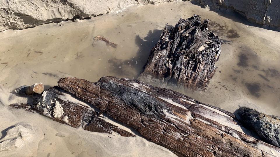 They think the object, which they believe was buried under more than 5 feet of sand just south of Frank Rendon Park, may be a cargo ship from the 1800s.