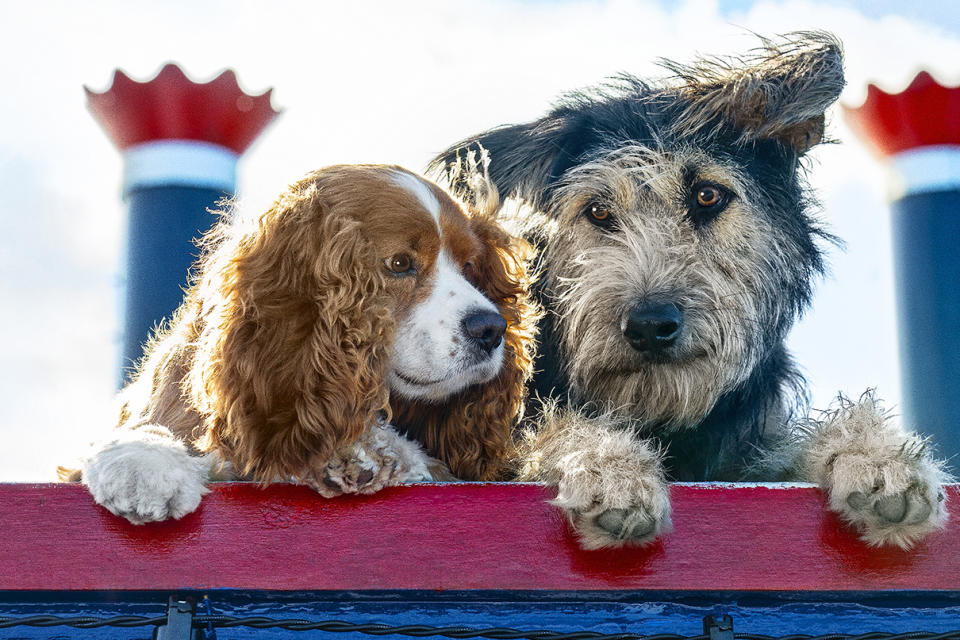 Tessa Thompson and Justin Teroux voice the title characters in Disney's latest live-action remake 'Lady and the Tramp' (Photo: KC Bailey/Disney Enterprises)