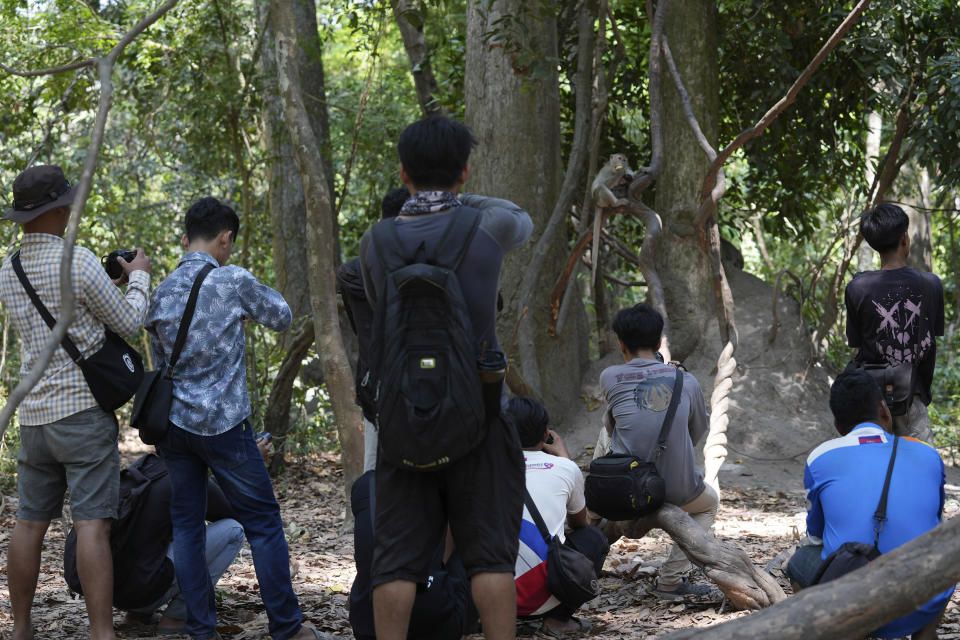 Local YouTubers take videos of monkeys near Bayon temple, at Angkor Wat temple complex in Siem Reap province, Cambodia, Tuesday, April 2, 2024. Cambodian authorities are investigating the abuse of monkeys at the famous Angkor UNESCO World Heritage Site. Officials say some YouTubers are physically abusing the macaques to earn cash by generating more views. (AP Photo/Heng Sinith)