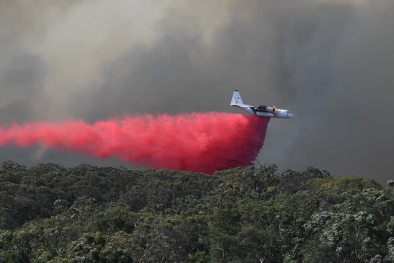 An air tanker drops fire retardant on the Gospers Mountain fire near Colo Heights