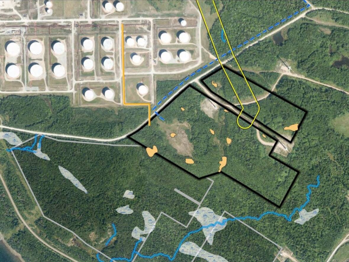 An aerial photograph shows black rectangles where EverWind Fuels plans to contruct portions of its industrial facility at Point Tupper, N.S. It will produce hydrogen and ammonia using methods that are considered more environmentally friendly than techniques which use natural gas. (Department of Environment - image credit)