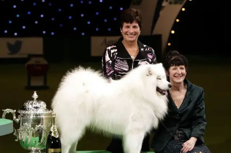 Val Freer with her Samoyed dog Dan The Man who was runner-up in the Best in Show category at Crufts in 2014 -Credit:PA