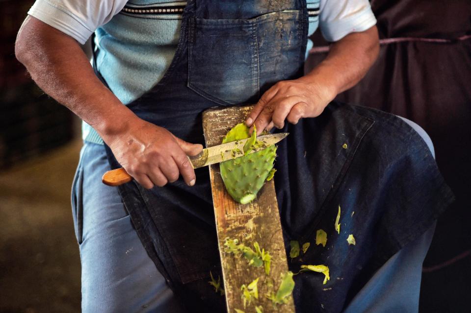 Para preparar el nopal se deben cortar todo el borde y las espinas con un cuchillo afilado, pero en muchos mercados ya podemos conseguirlas cortadas. (Photo credit should read ALFREDO ESTRELLA/AFP via Getty Images)