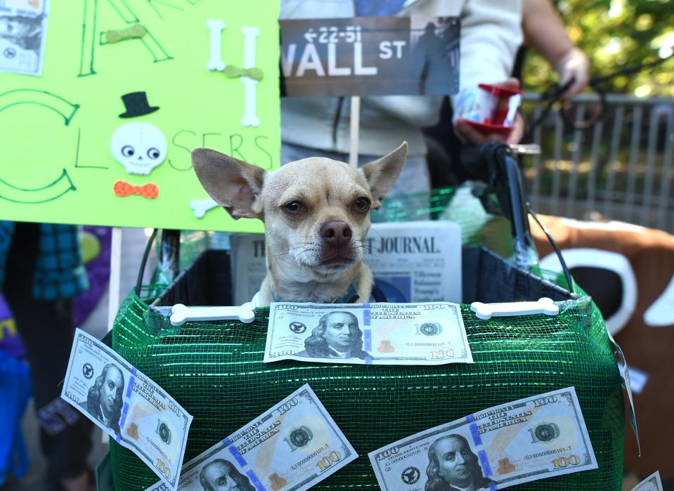 Costumed pooches prance In annual Halloween Dog Parade in New York City