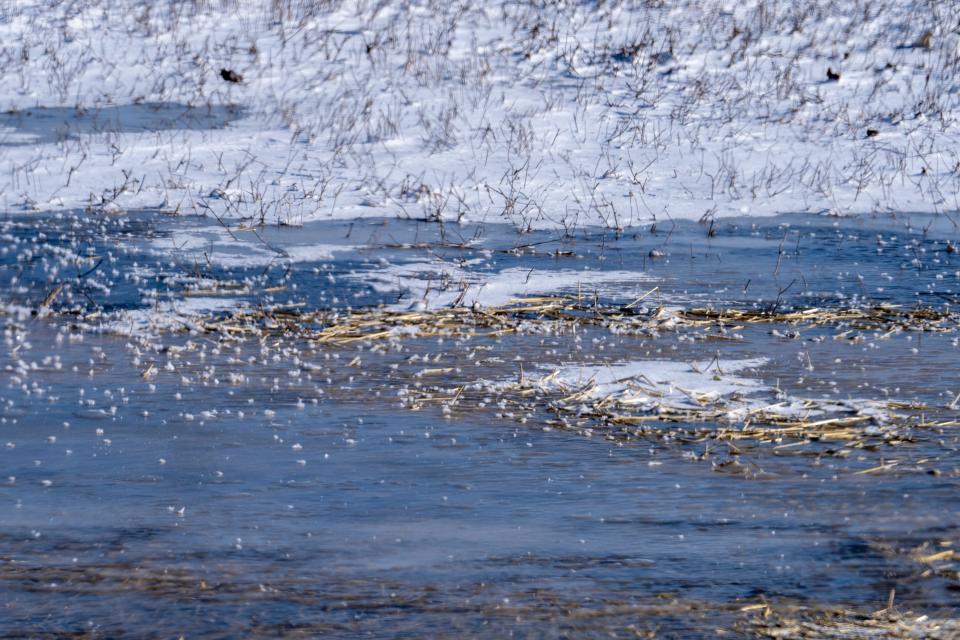 Frozen-over wetlands on Sunday, Jan. 24, 2023, on the far south side of Indianapolis. An adjacent plot of land, which hosts a variety of wildlife, is the spot where a proposed warehouse will be erected.