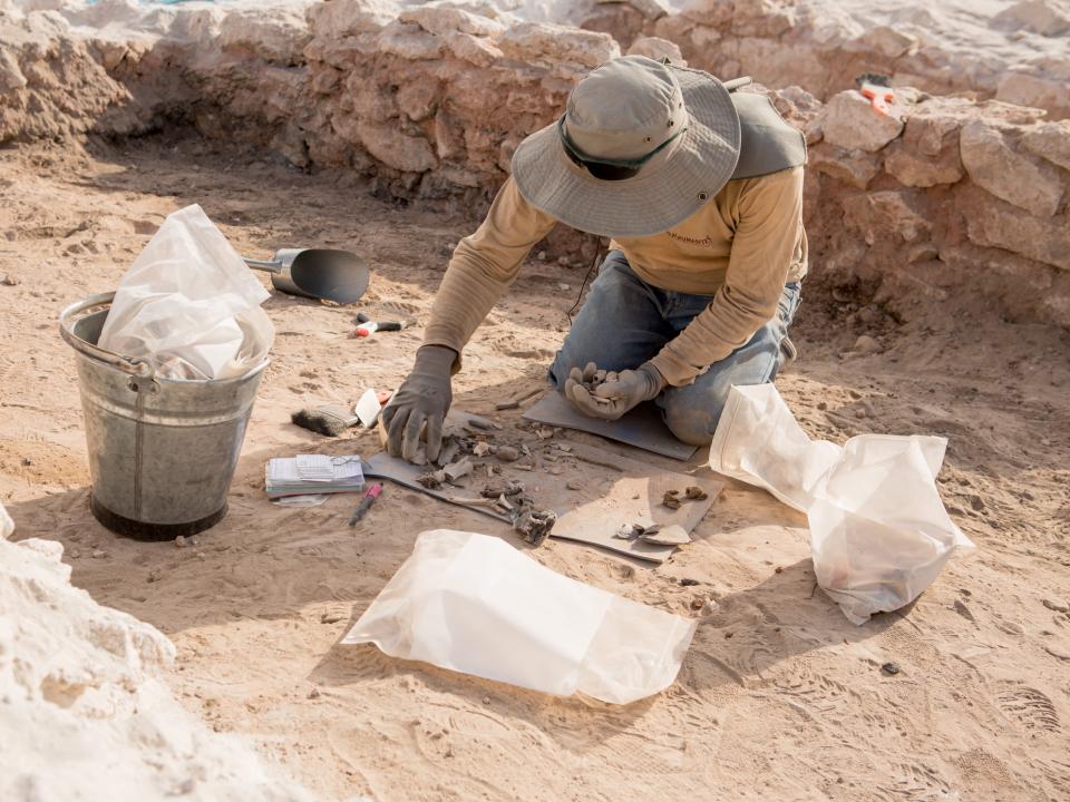 An archaeologist excavates for vilca seeds at the Quilcapampa site in Peru.