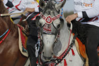 An ornament reading Masallah (May God preserve him from evil) decorates a horse's head prior to a game of Cirit, a traditional Turkish equestrian sport that dates back to the martial horsemen who spearheaded the historical conquests of central Asia's Turkic tribes, between the Comrades and the Experts local sporting clubs, in Erzurum, eastern Turkey, Friday, March 5, 2021. The game that was developed more than a 1,000 years ago, revolves around a rider trying to spear his or her opponent with a "javelin" - these days, a rubber-tipped, 100 centimeter (40 inch) length of wood. A rider from each opposing team, which can number up to a dozen players, face each other, alternately acting as the thrower and the rider being chased. Cirit was popular within the Ottoman empire, before it was banned as in the early 19th century. However, its popularity returned as is now one of many traditional sports encouraged by the government and tournaments are often arranged during festivals or to celebrate weddings. (AP Photo/Kenan Asyali)