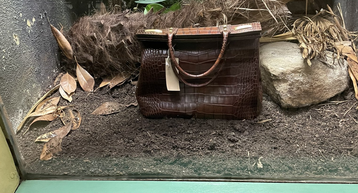 London Zoo's crocodile skin handbag display goes viral - BBC News