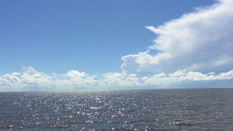 High wind warning issued for Lake Winnipeg, Lake Manitoba