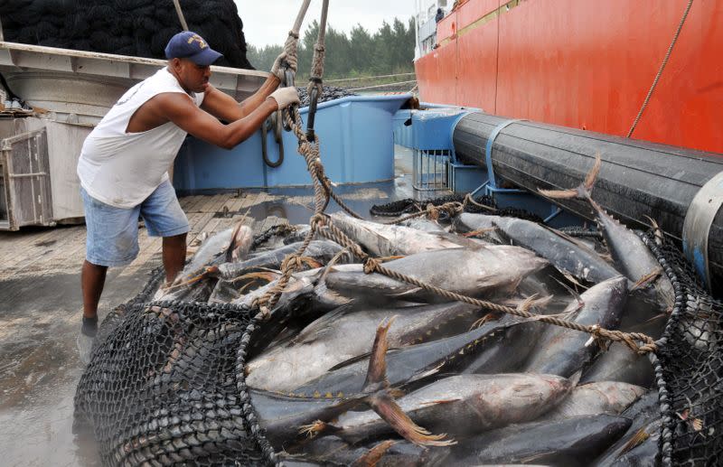 FILE PHOTO: Talks start to protect Indian Ocean's depleting tuna
