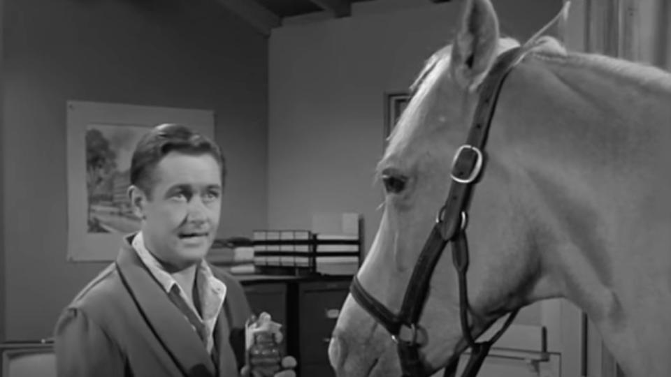 Mister Ed (Wilbur Pope And Mister Ed)