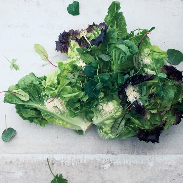 Lettuce Hearts with Shaved Hazelnuts