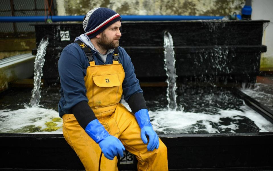 Jamie McMillan from Loch Fyne Langoustines. The SNP recently claimed that a third of the Scottish fishing fleet is tied up in harbour and losing Â£1 million a week, causing fresh and high quality produce to be lost - Getty Images