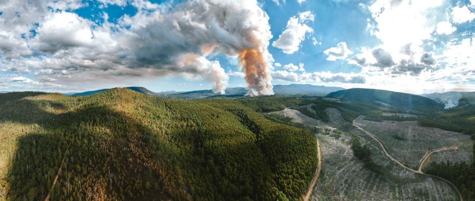 The smoke plumes from a distance. Forested hill and cleared land in the foreground in Tasmania.