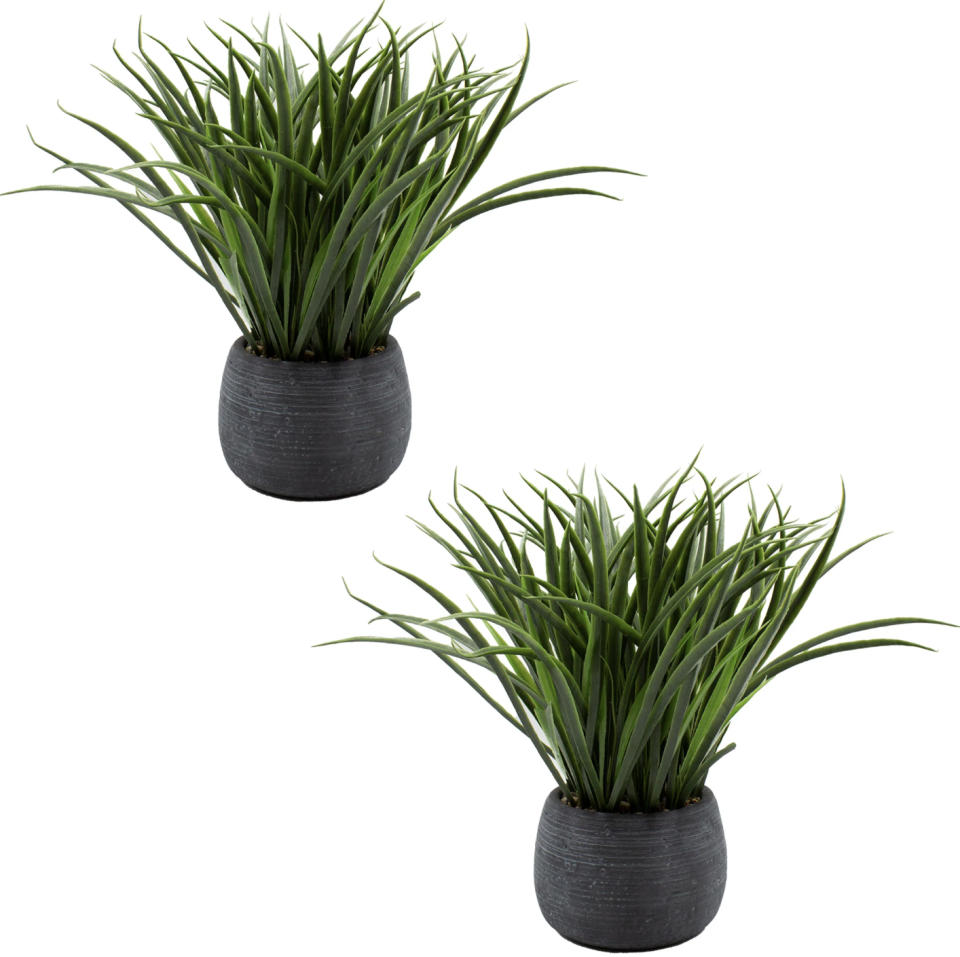 A set of faux plants