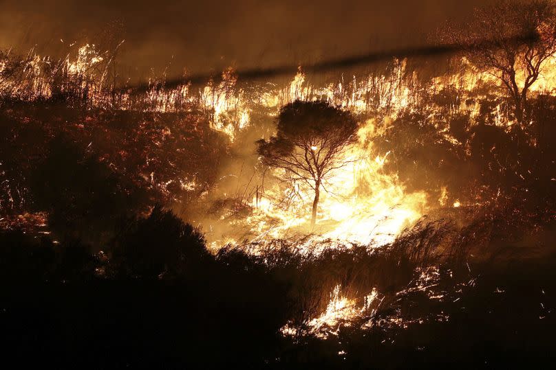 Incendie près d'Alcamo et Partinico, en Sicile, Italie, août 2023.