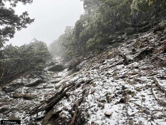 玉山園區從山林、草木到地面，可見白色冰霜、冰霰覆蓋情形。（圖：玉管處提供）