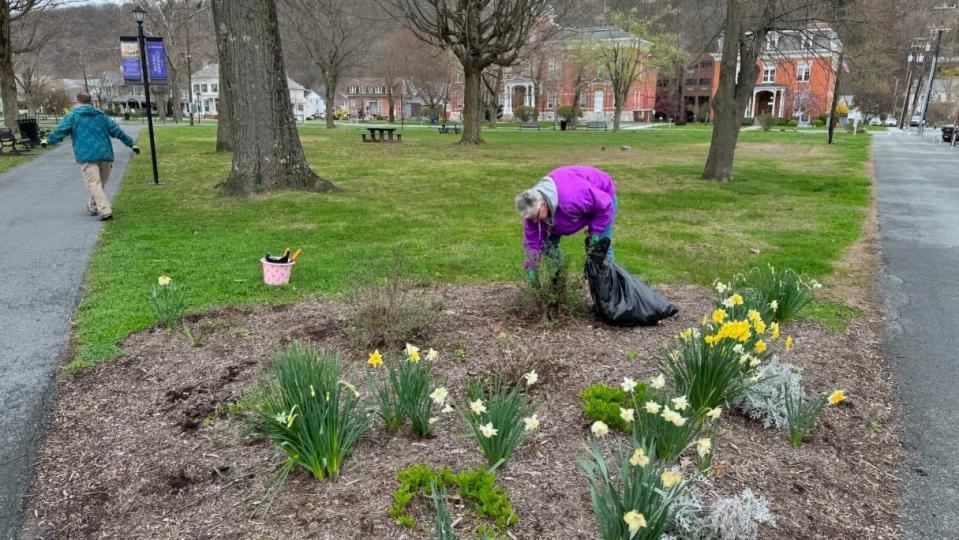 Over 30 volunteers collected litter in Honesdale parks and other areas in town on Saturday, April 20, 2024.