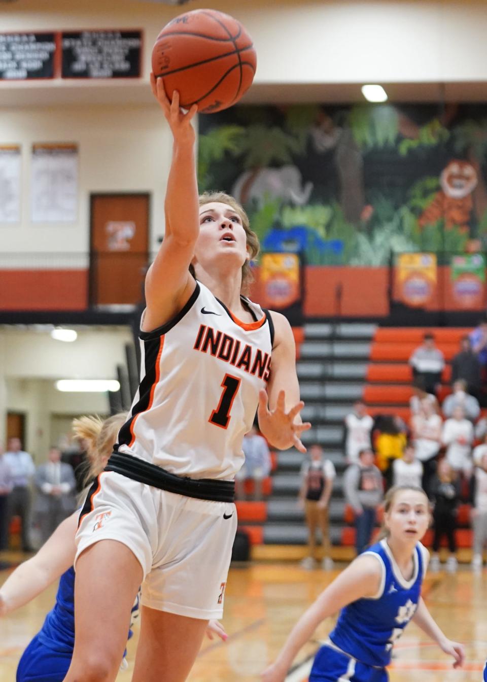 Tecumseh's Alli Zajac goes up for a layup during Friday's game against Adrian.