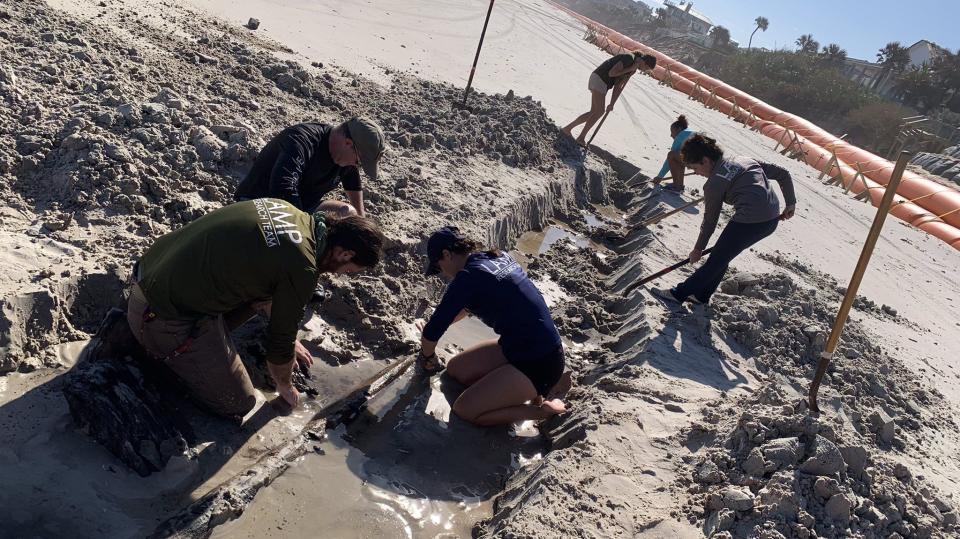 They think the object, which they believe was buried under more than 5 feet of sand just south of Frank Rendon Park, may be a cargo ship from the 1800s.