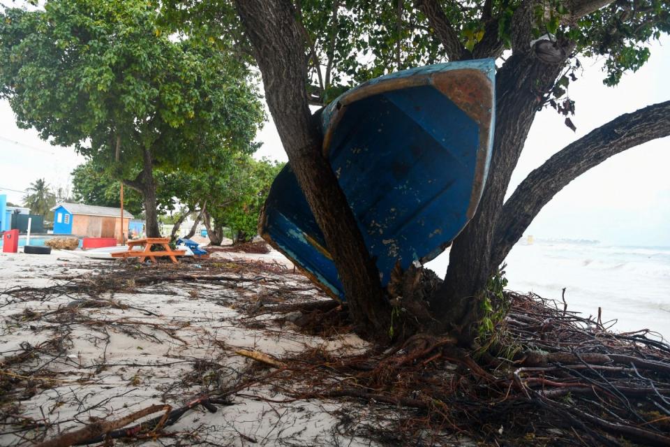 A boat ended up in a tree after the passage of Hurricane Beryl in Oistins gardens, Christ Church, Barbados on July 1, 2024.<span class="copyright">Randy Brooks—AFP/Getty Images</span>
