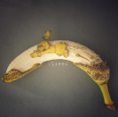 <p>Aburrido por no saber qué publicar en sus redes sociales, Brusche fijó la mirada en una banana, que era parte de su desayuno. Y enseguida le surgió la idea. </p>