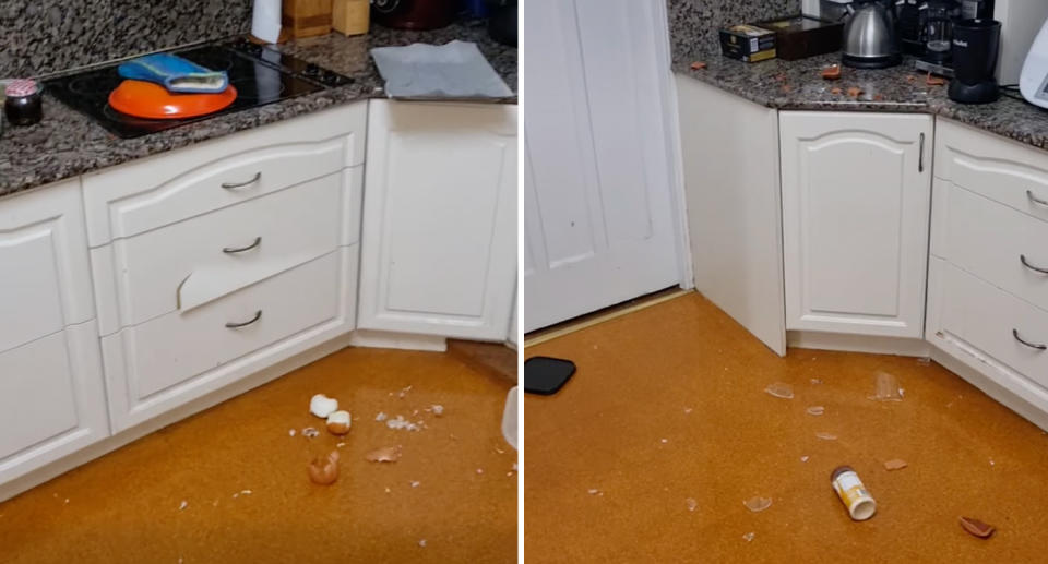 Two photos of the mess the carpet python made, including onions on the floor and broken glass. 