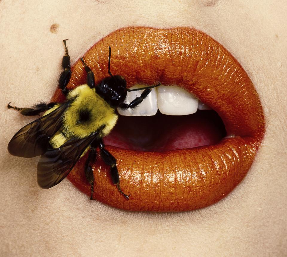Irving Penn, Bee (A), New York, 1995. - Credit: The Irving Penn Foundation/Courtesy of Cardi Gallery