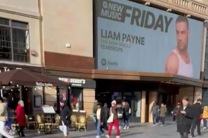 Bear out for a walk with his dad Liam Payne