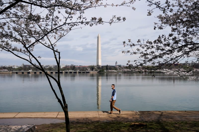 FILE PHOTO: A man wearing a mask walks past blooming cherry trees during a global outbreak of coronavirus disease (COVID-19) in Washington