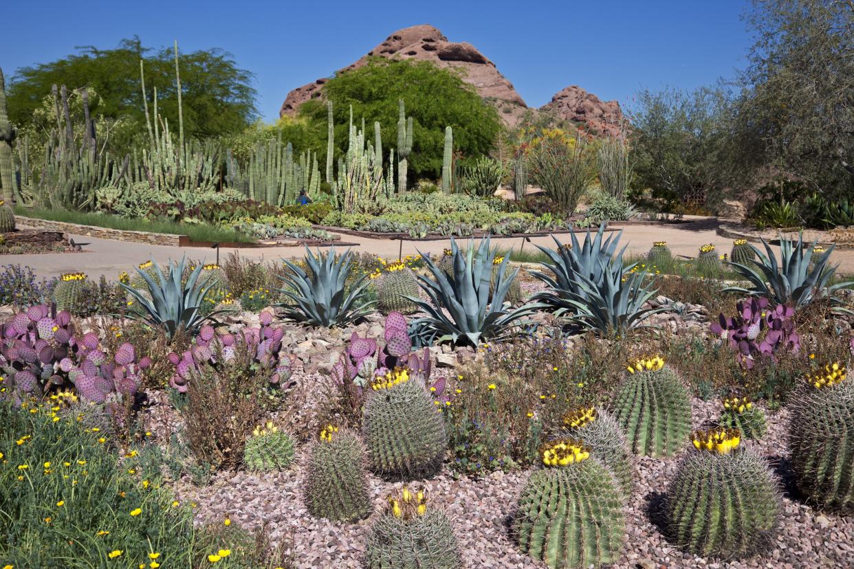 Botanical Gardens in the Southwest United States