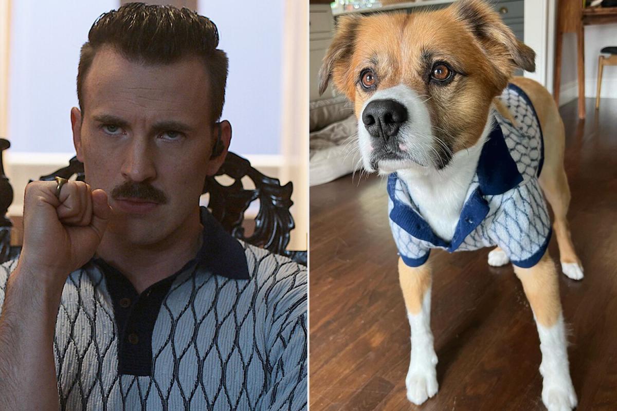 Chris Evans and His Dog Dodger · The Wildest