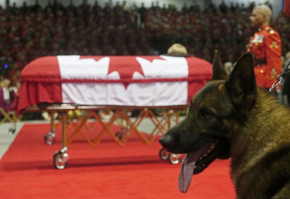 The dog of K-9 officer David Ross, who was killed last week along with two other RCMP officers, sits in front of his casket during a regimental funeral in Moncton