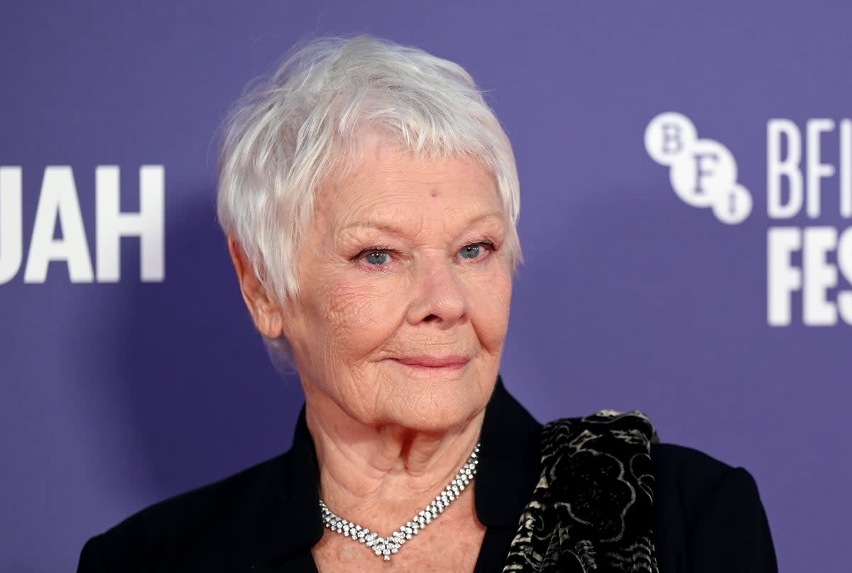 Dame Judi Dench has expressed her disappointment about the treatment of striking NHS staff   (Stuart C. Wilson/Getty Images fo)