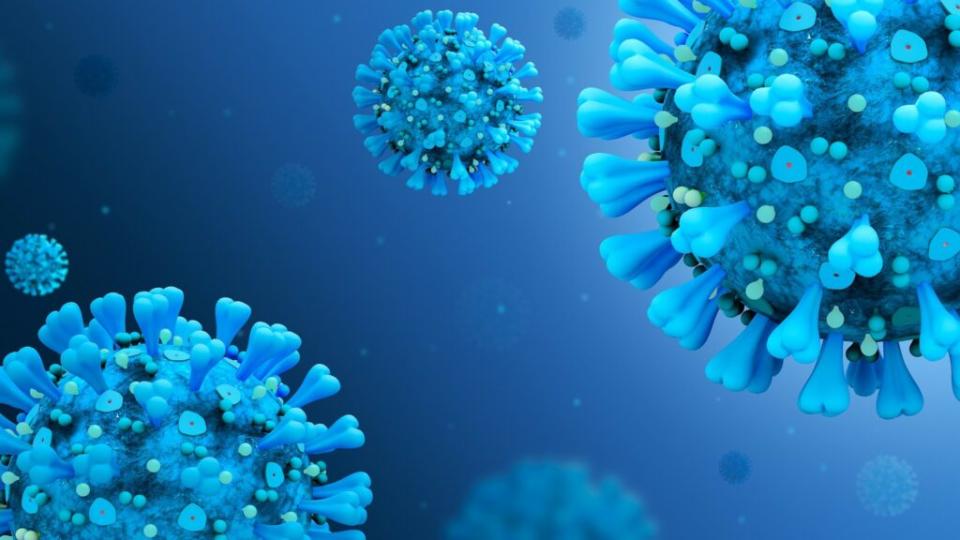 Coronavirus SARS-CoV-2. // Source : Pixabay