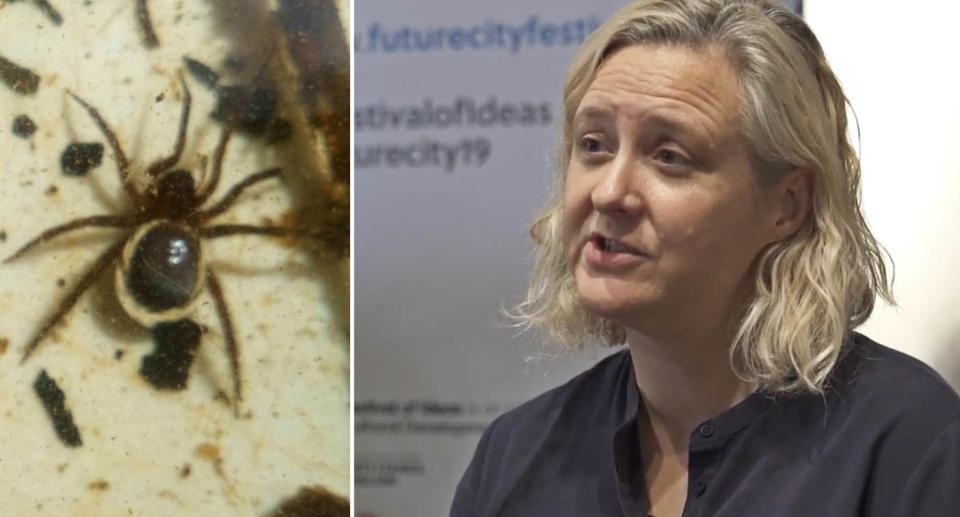 Ros Wynne-Jones, a writer from the UK has a spider in her ear for three days after going swimming in Devon. Source: Devon Wildlife Trust/Youtube - Bristol Festival of Ideas