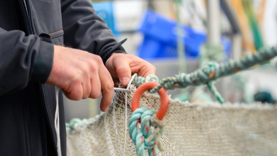 Werden die überfischten Weltmeere nicht bald geschont, droht ein Kollaps der Fischbestände.