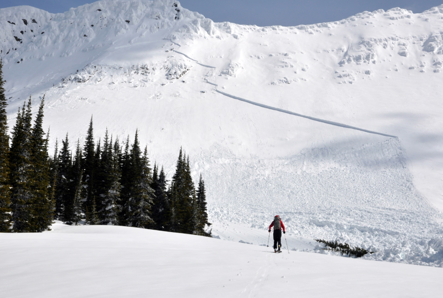 An avalanche forecaster approaches the crown of an avalanche that occurred in Glacier National Park, MT. (USGS)