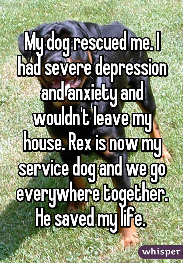 My dog rescued me. I had severe depression and anxiety and wouldn't leave my house. Rex is now my service dog and we go everywhere together. He saved my life. 