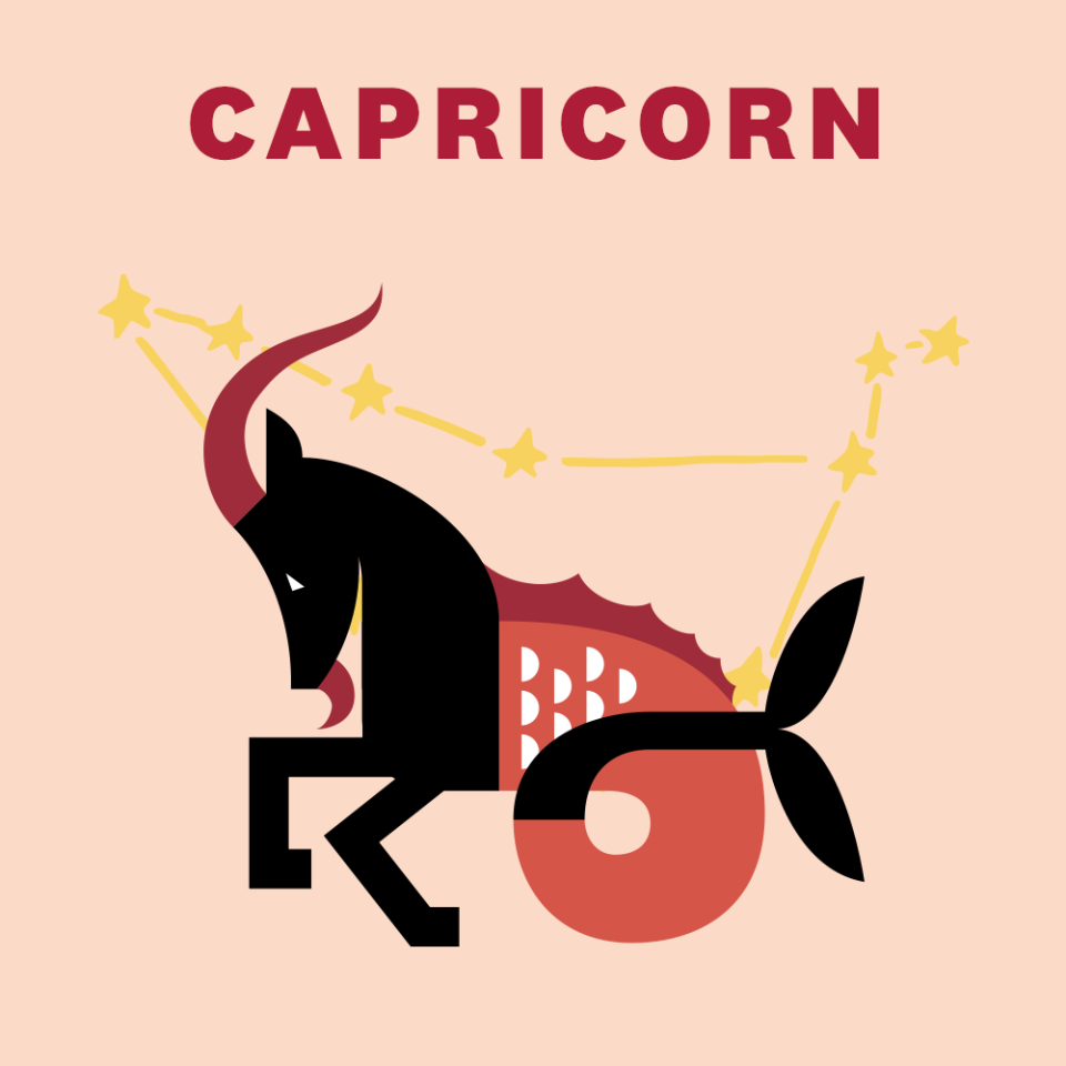 10) CAPRICORN (DECEMBER 22–JANUARY 19)