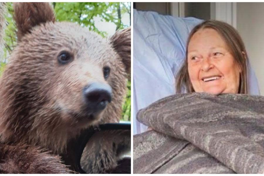 ¡Todo por una selfie! Turista casi pierde la mano al intentar tomarse foto con un oso