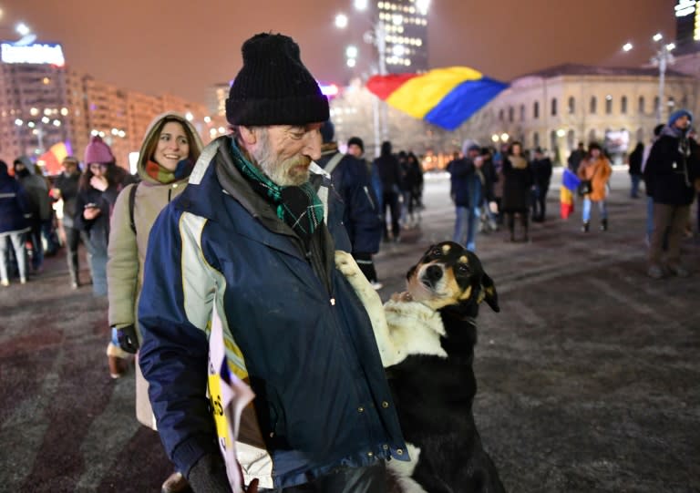 Romanian news channels were quick to join the "fake news" fray with Romania TV claiming some people and their pets were paid to protest against the government