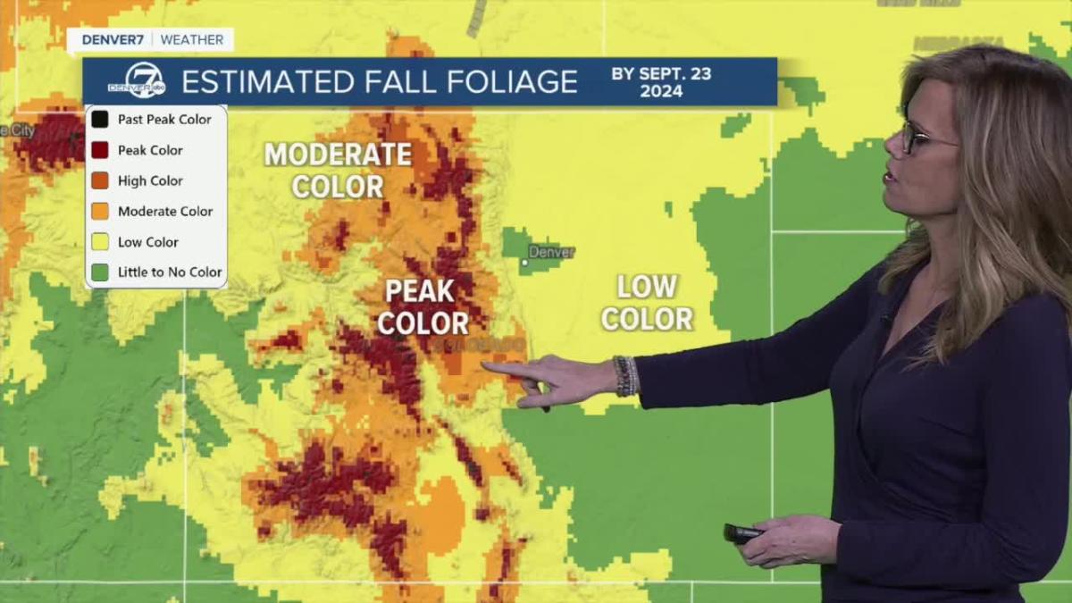 Colorado fall colors 2024 Here’s what the fall foliage forecast looks like