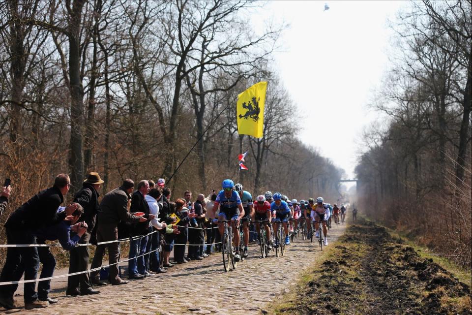 The Arenberg Forest comes at a crucial point in Paris-Roubaix (Getty)